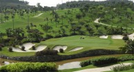Palm Garden Golf Club - Fairway